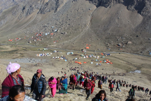 ग्यालबारामा यार्सागुम्वा संरक्षण गर्न फोहोर संकलन गरिंदै